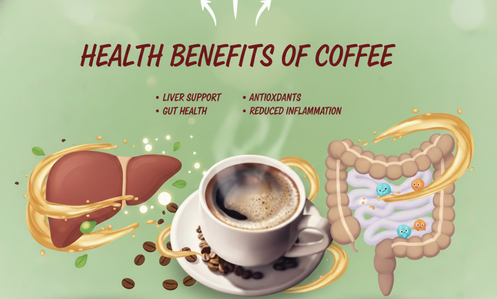 Daily Consumption of Black Coffee Is Beneficial Liver, Weight Loss, & Gut Health
