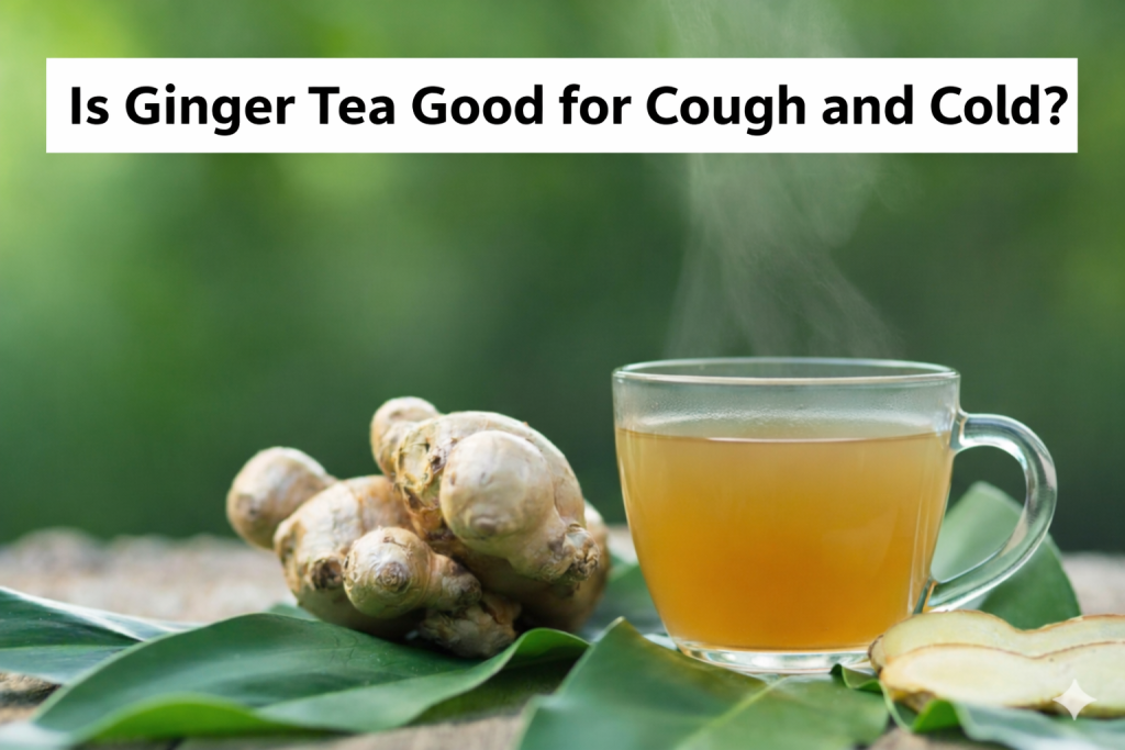 Is Ginger Good for Cough? Scientific Benefits, Uses, Side Effects, and Clinical Evidence